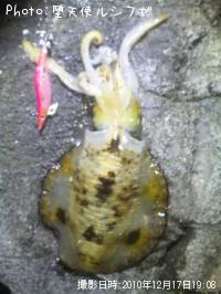 �����ꥤ��