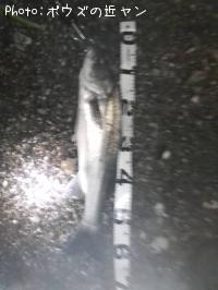 ¥¿¥¤¥ê¥¯¥¹¥º¥