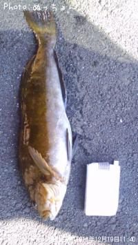 �����ʥ�