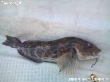 �����ʥ�