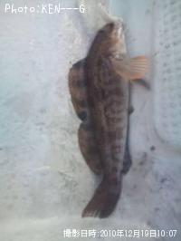 �����ʥ�