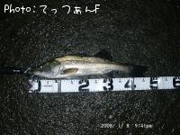 �ޥ륹����