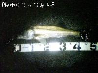 �ޥ륹����