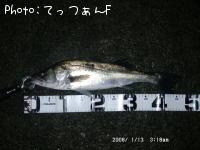 �����ꥯ������