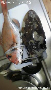 �ޥ������ܥϥ��ϥ�