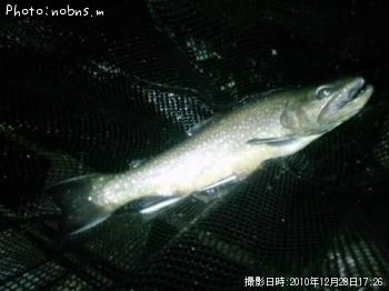 ¥Ö¥ë¥Ã¥¯¥È¥é¥¦¥È