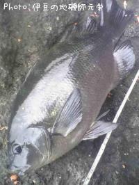 �����᥸��