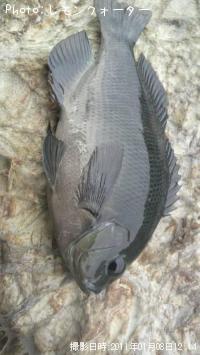 �ӥå���᥸��