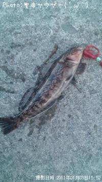 �����ʥ�