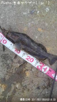 �����ʥ�