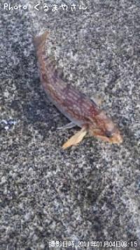 �����ʥ�