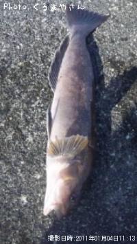 �����ʥ�