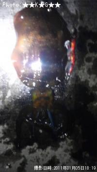 ¥¢¥ª¥ê¥¤¥«