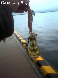 �����ꥤ��