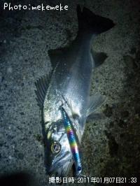 �ҥ饹����