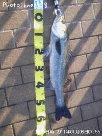 �����Х�