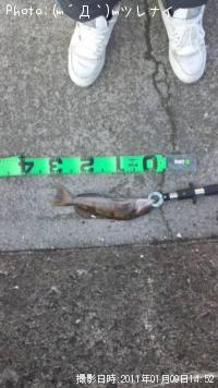 �����ʥ�