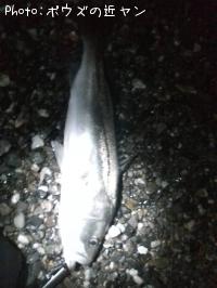 �ޥ륹����