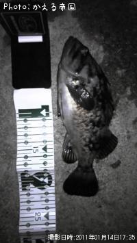 ��̿�Ρĥ���������