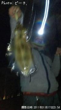 �����ꥤ��