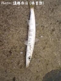 ���ޥ���