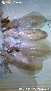 �����ꥤ��