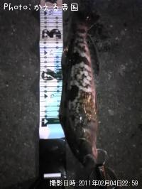 �����ʥ�����