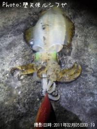 �����ꥤ��