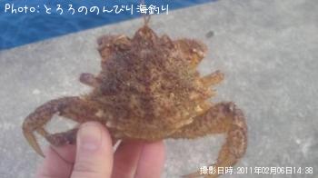 �ȥ����ꥬ��