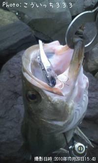 �����Х�