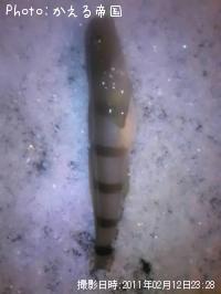 ��奦������