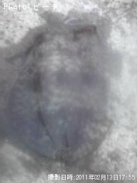 �����ꥤ��