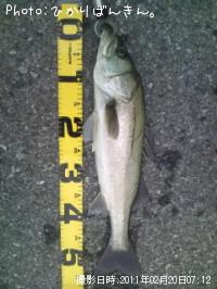 �����Х�