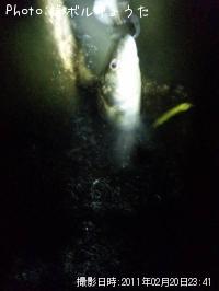 �����Х�