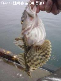 ����ߥ�����