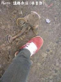 ����ߥ�����