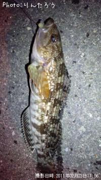 �����ʥ�