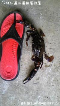 �ӥå��ʥ��ˤ���