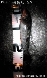 �����ʥ�