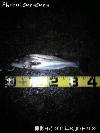 �����Х�