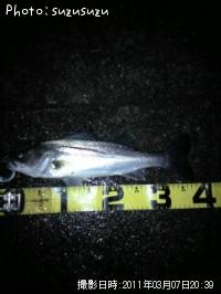 �����Х�