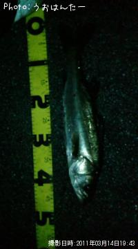 �����Х�