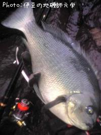 ¸ýÂÀ¥á¥¸¥Ê