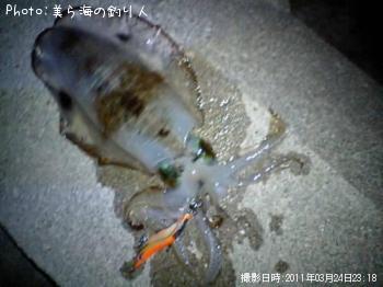 �����ꥤ��