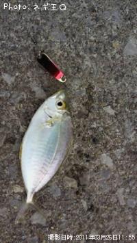 ¥æ¥À¥ä¥¬¡¼¥é