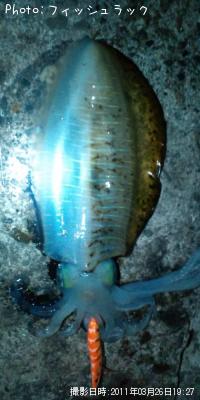 �����ꥤ��