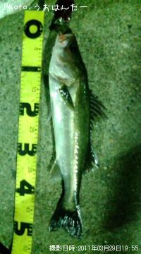 �����Х�