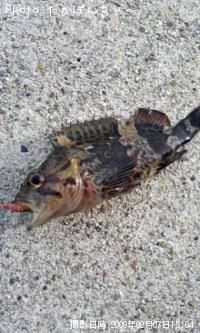 ¥¿¥±¥Î¥³¥á¥Ð¥ë