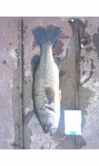 ¥Ö¥é¥Ã¥¯¥Ð¥¹