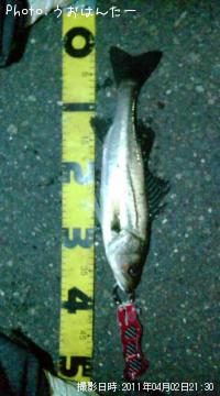 �����Х�